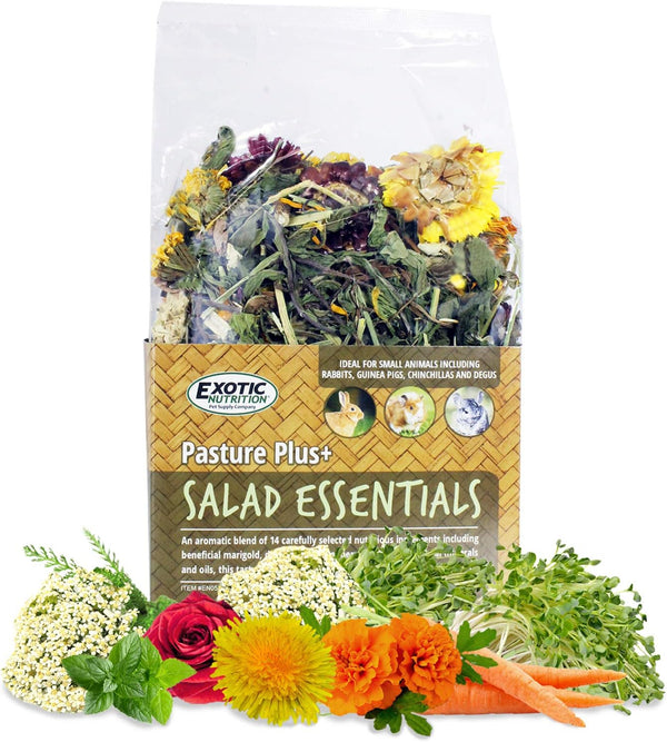 Exotic Nutrition Pasture Plus+ Salad Essentials - Healthy Natural High-Fiber Dried Flower & Herb Treat - Guinea Pigs, Rabbits, Chinchillas, Prairie Dogs, Degus, Hamsters, Gerbils & Other Small Pets1