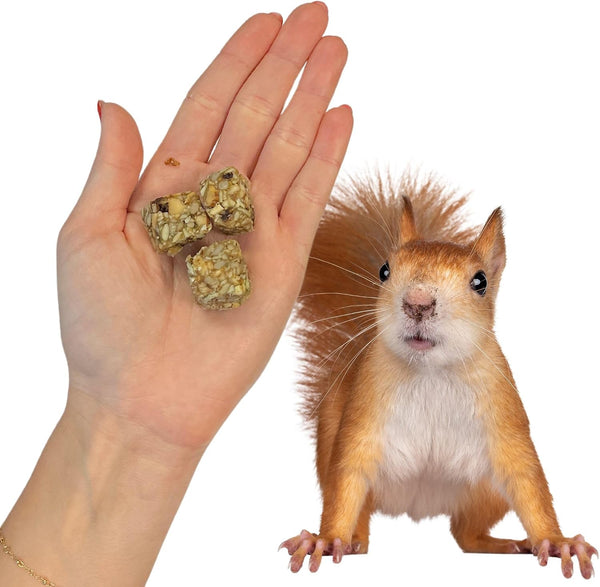Exotic Nutrition Squirrel Beneficial Blocks - Healthy & Unique Supplemental Food with Nuts & Seeds, 10 Oz6