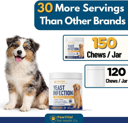 Natural Yeast Infection Treatment for Dogs, 150 Chews – anti Yeast Support for Itchy Skin & Ears – Helps Reduce Irritation & Paw Licking – Probiotic + Herbal Blend – Bacon Flavored Soft Chews4