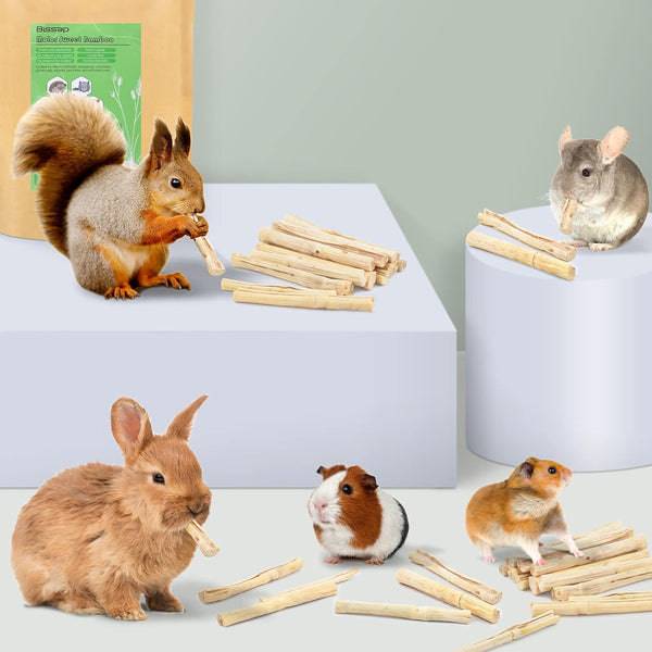 Bissap 250G/0.5Ib Sweet Bamboo Chew Sticks for Rabbits, Bunny Molar Treats Snack for Small Animals Hamster Chinchilla Guinea Pigs Rabbit Squirrel Natural Teeth Grinding Toys6