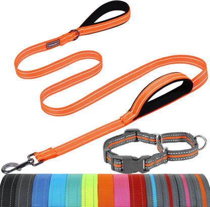 VIVAGLORY Double Handle Dog Leash Twingrip, 6Ft X 1In, Navy | Dog Leash for Collar with Traffic Handle & 2 Loop for Walking & Training, Traffic Control Reflective Heavy Duty Puppy Pet21