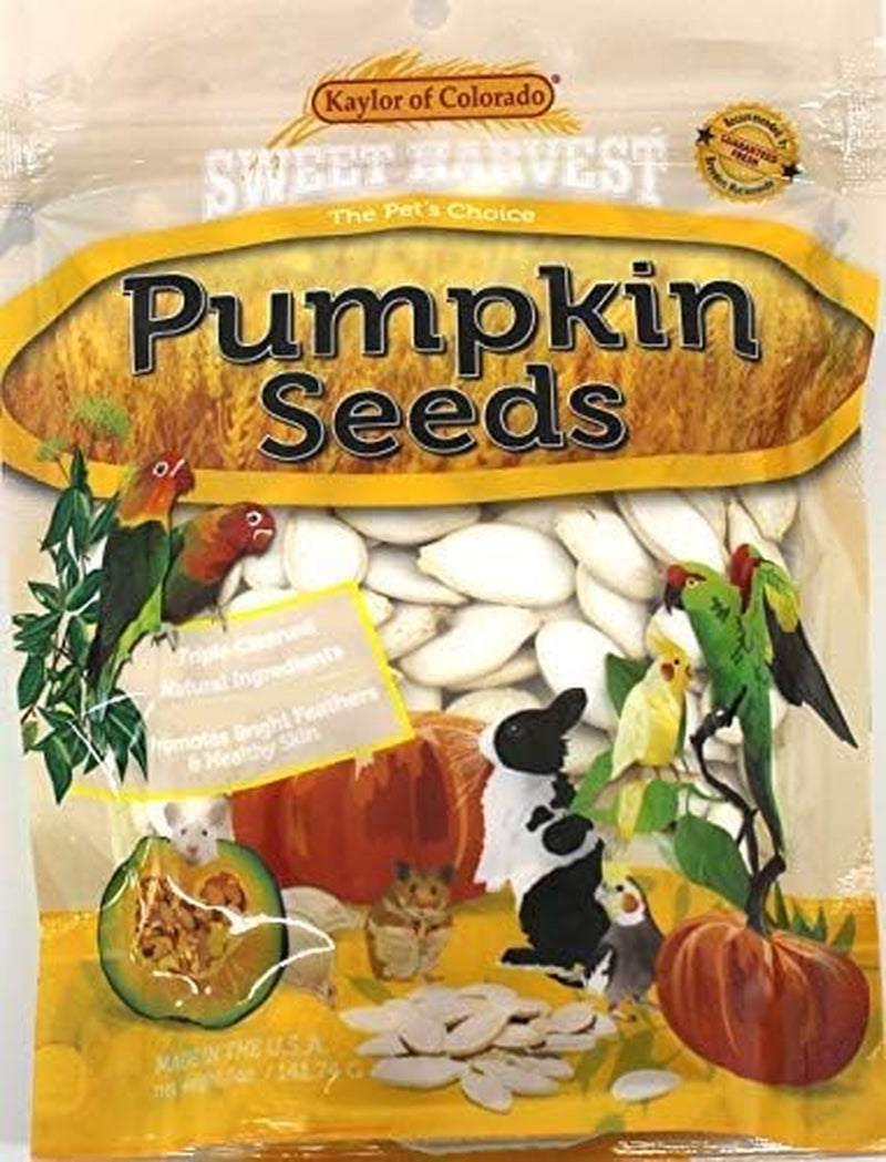 pumpkin-seeds-5-oz-bag-real-pumpkin-seeds-for-birds-and-small-animals-rabbits-hamsters-mice-gerbils-rats-cockatiels-parrots-macaws-conures