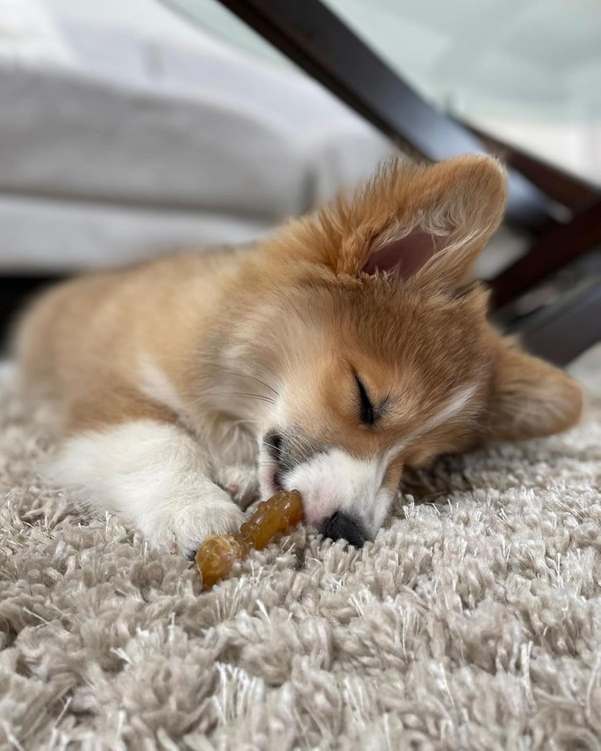 nylabone-puppy-chew-teething-ring-bone-dog-toy-chicken-flavor-x-small-soothing-teething-toys-for-puppies-puppy-enrichment-teething-relief-freezable-for-added-comfort-dogs-up-to-15-lbs