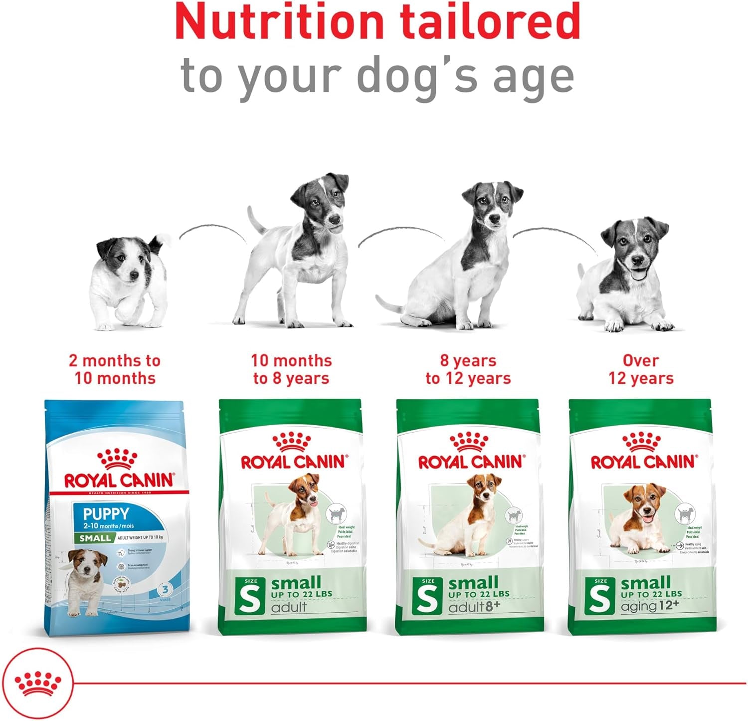 royal-canin-size-health-nutrition-small-8-senior-dry-dog-food-2-5-lb-bag