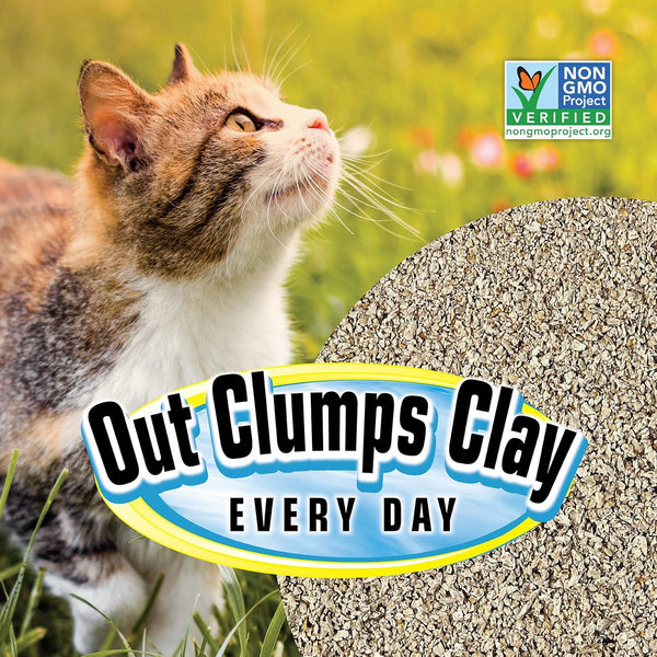 Smartcat All Natural Clumping Cat Litter, 20 Pound (320Oz 1 Pack) - Alternative to Clay and Pellet Litter - Chemical and 99% Dust Free - Unscented and Lightweight9