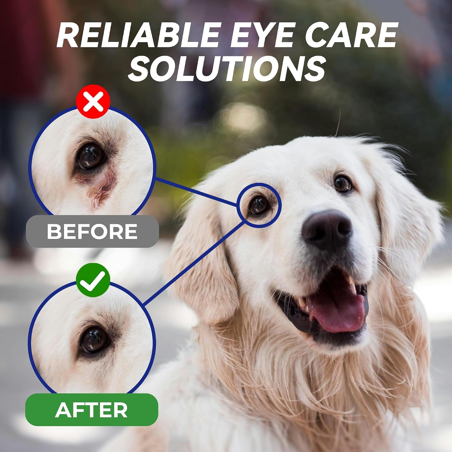 wellix-pet-eye-drops-for-dog-cat-non-irritating-taurine-dog-eye-drop-dog-cat-eye-infection-treatment-to-soothe-eye-allergy-dry-eyes-pink-eyes-dog-tear-stain-cleaner-mild-herbal-blend-60ml