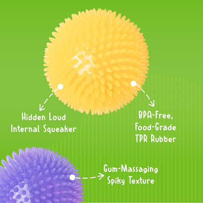 Gnawsome Medium Squeaker Ball Dog Toy, Medium 3.5", Colors Will Vary, All Breed Sizes4