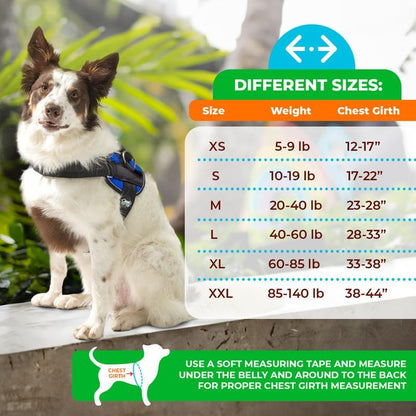 Joyride Dog Harness 2.0 | No-Pull | Blue 2.0 | M | Reflective No-Choke Quick-Fit Vest with 3 Leash Clips and Escape-Resistant Design for Easier Walks and Training2