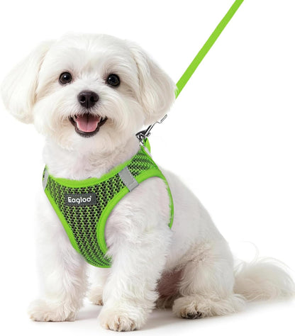 Eagloo Small Dog Harness and Leash Set, Step in Small Sized Puppy Pet Vest | Light, Soft, Breathable Air Mesh, Easy on and off with Hook & Loop, Reflective for Safe Walking, Pink, S62
