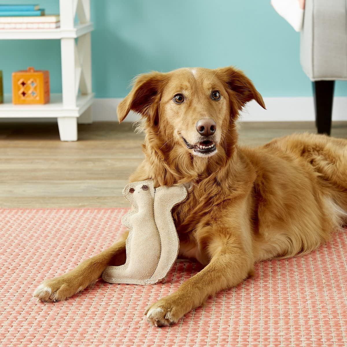 spot-dura-fused-leather-squirrel-dog-toy-real-leather-jute-fabric-double-stitched-durable-soft-stuffed-squeaky-interactive-chew-toy-for-moderate-chewers-small-medium-dogs-8in