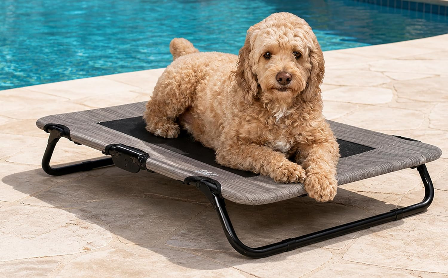 pet-gear-lifestyle-pet-cot-elevated-bed-30-inch-caribbean-ocean-no-assembly-required-premium-tear-resistant-cooling-mesh-indoor-outdoor-lightweight-portable