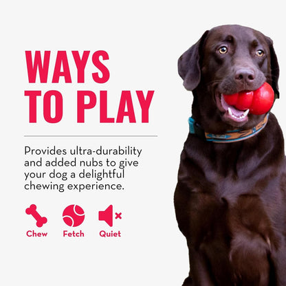 KONG Ring - Natural Rubber Ring Toy for Healthy Chewing Habits - Chew Toy Supports Dog Dental Health - Dog Toy Supports Instincts during Playtime - for Small/Medium Dogs5