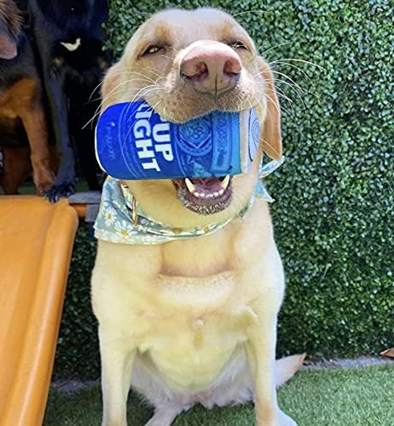 nestpark-pup-light-and-pups-blue-rubbin-parody-beer-dog-toys-funny-plush-squeaky-and-crinkle-dog-toys-dog-gifts-for-dog-birthday-2-pack-mix