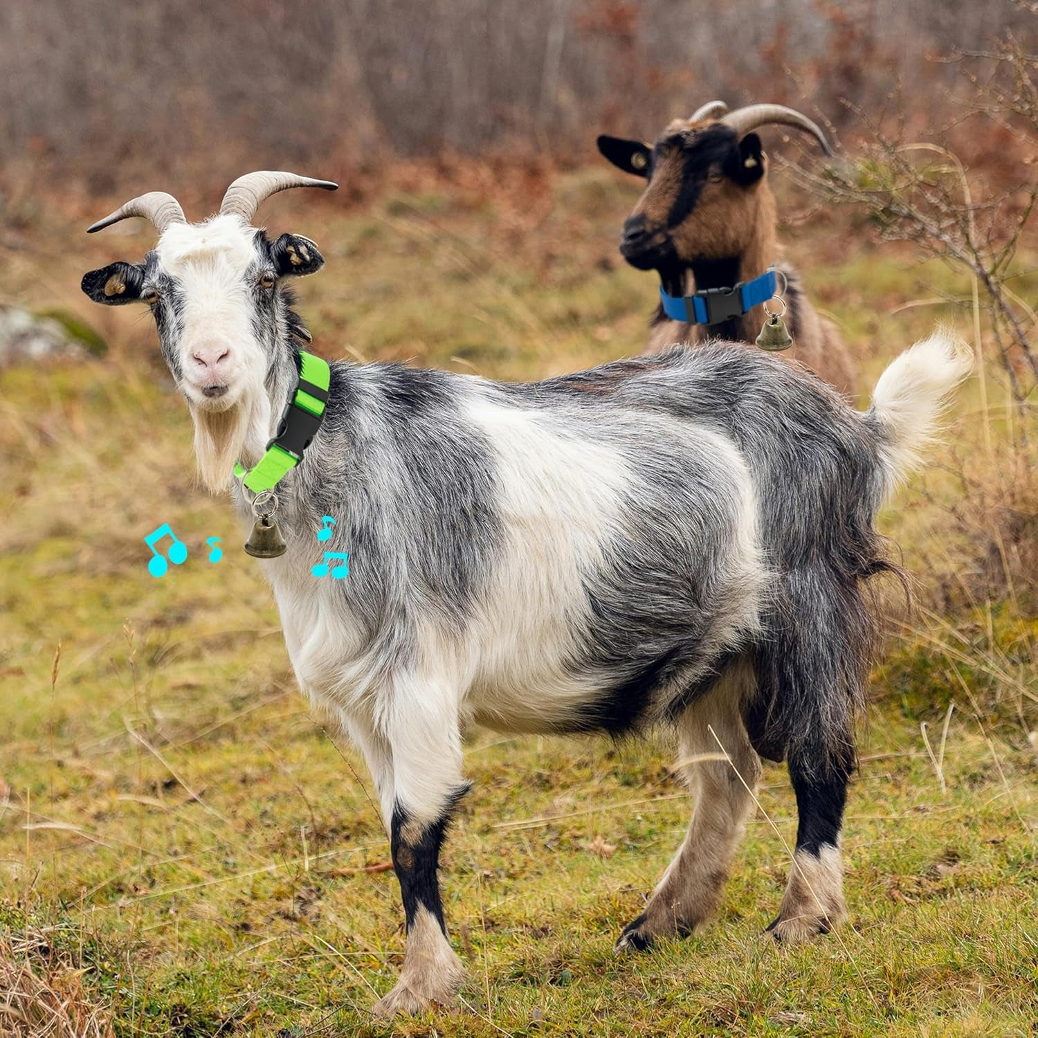 3-pack-goat-collars-with-loud-bells-anti-lost-grazing-pet-collar-adjustable-collar-copper-bells-small-farm-animals-accessories-for-livestock-sheep-calf-13-8-20-9