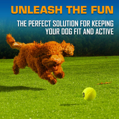 Nerf Dog Tennis Ball Blaster Dog Toy Gift Set, Tennis Ball Dog Fetch Toy Launches up to 50 Ft, Dog Ball Thrower for All Breeds Includes Translucent Blue Tennis Ball Launcher and 3 Dog Tennis Balls3