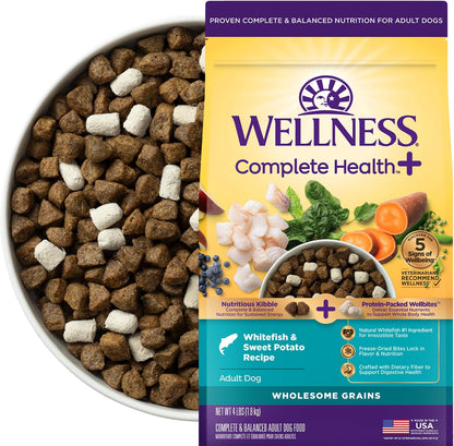 Wellness Complete Health+ Adult Dry Dog Food with Freeze Dried Wellbites, Wholesome Grain Kibble+, Natural, Chicken and Oatmeal Recipe, 4 Lb Bag10