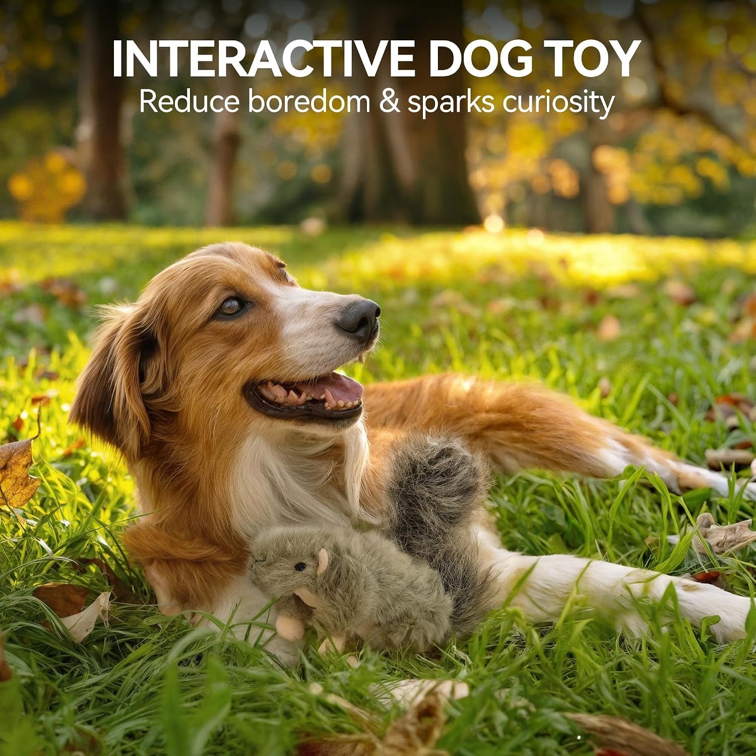 all-for-paws-classic-squirrel-pet-toys-small