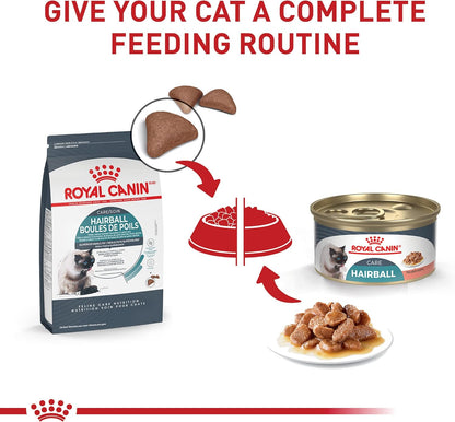 Royal Canin Feline Care Nutrition Hairball Care Adult Dry Cat Food, 6 Lb Bag6