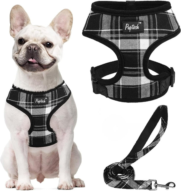 PUPTECK Soft Mesh Dog Harness Small Sized and Leash Set Pet Puppy Cat Comfort Padded Vest No Pull Harnesses, Beige, S42