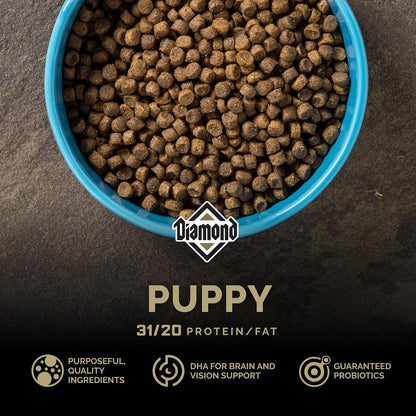 Diamond Puppy High Protein Dry Dog Food, Chicken Protein, 40Lb | Puppy, Adult & Senior Dogs | DHA for Proper Brain & Vision Development | Guaranteed Probiotics for Digestive Support3