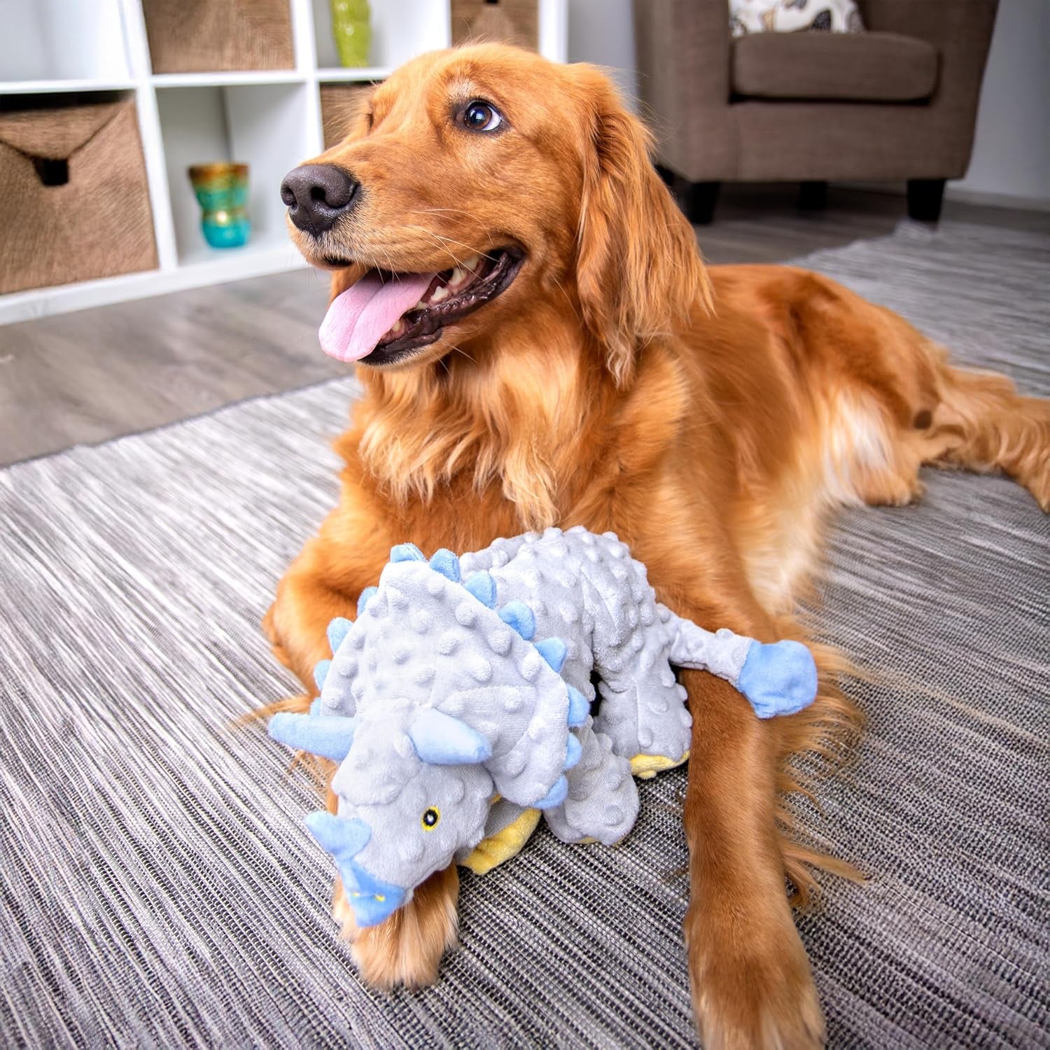 godog-dinos-frills-squeaky-plush-dog-toy-with-chew-guard-technology-durable-fabric-squeaker-for-active-play-gray-large