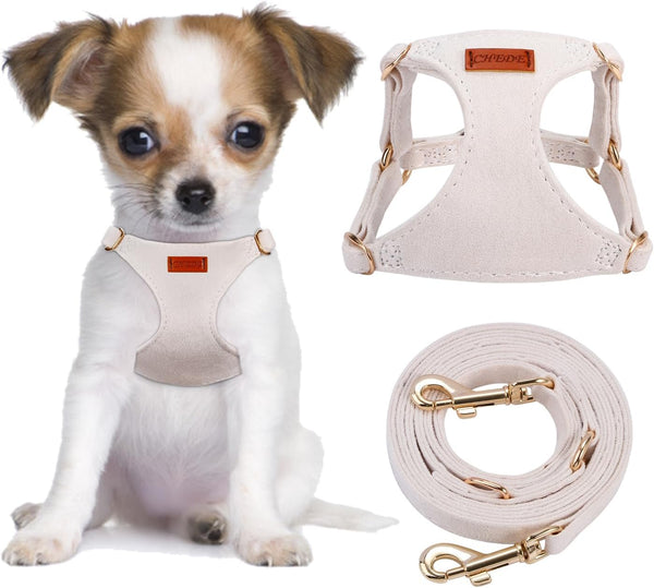 CHEDE No Pull Puppy Harness and Multifunction Dog Leash Set- 8 Colors Soft Adjustable No Choke Escape Proof Cute,Lightweight Pet Vest Harness for Small and Medium Dog…1