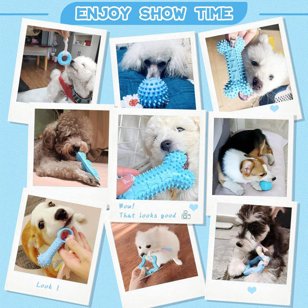 Petcare 6 Pack Puppy Chew Toys - Blue, Soft Rubber Rope & Bone Ball Teething Toys for Small Dogs & Puppies, Including Yorkie2