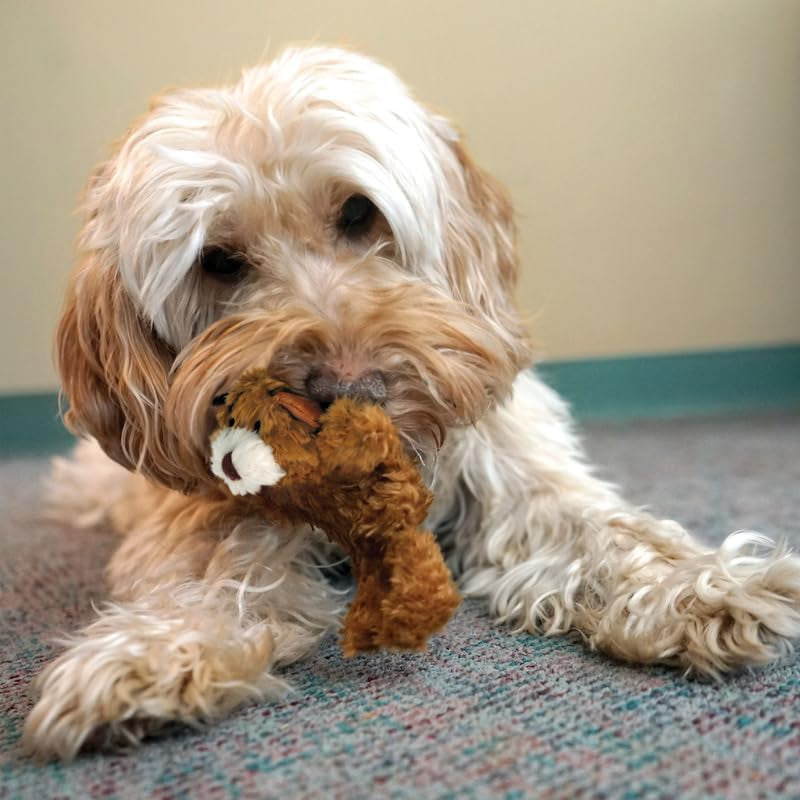 kong-low-stuffing-with-squeaker-dog-toy-x-small-3-animals-bear-duck-frog