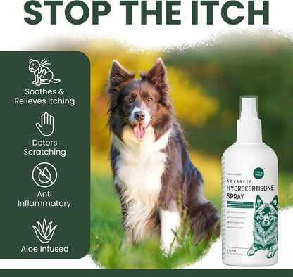 Hydrocortisone Spray for Dogs - 4 Oz anti Itch Spray for Dogs | for Irritated Skin, Hot Spots, Flea Bites, Itching - Made with Hydrocortisone and Pramoxine Hydrochloride - Made in the USA3