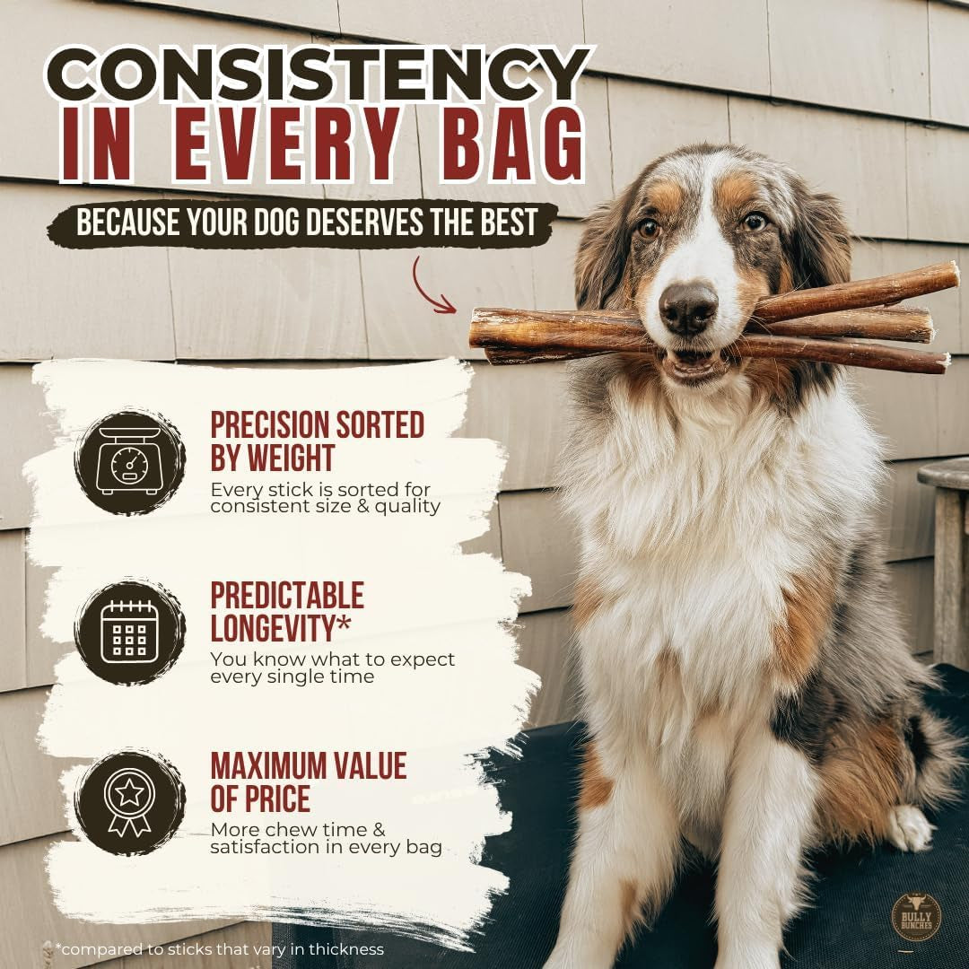 bully-bunches-premium-6-standard-5-pack-odor-free-bully-sticks-for-small-to-medium-dogs-puppies-consistently-sized-long-lasting-chews-for-oral-care-all-natural-100-beef-dog-treats