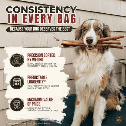 Bully Bunches Premium (6" Standard - 5 Pack) Odor-Free Bully Sticks for Small to Medium Dogs & Puppies - Consistently Sized, Long Lasting Chews for Oral Care - All Natural, 100% Beef Dog Treats7