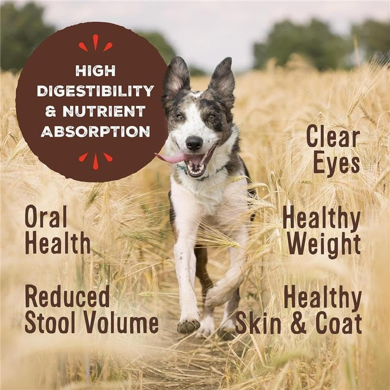 primal-freeze-dried-dog-food-nuggets-chicken-complete-balanced-meal-topper-or-treat-premium-healthy-grain-free-high-protein-raw-dog-food-14-oz-complete-balanced-nutrition-meal-topper-or-treat-grain-free-high-protein-no-synthetic-vitamins-minerals