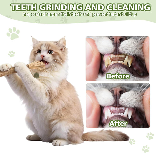 WOUSEDO 7 Pack Silvervine Sticks Cat Toy with Catnip & Matatabi Ball | Natural Chew Toys for Anxiety Relief & Dental Care, Teeth Cleaning Sticks for Indoor Cats & Kittens6