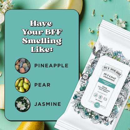 Poo-Pourri Pawsitively Fresh Deodorizing Pet Wipes – Quick Cleaning Wipes for Dogs & Cats – Plant Based Ingredients – Vet Recommended – Cleaner Odor Remover Wipes for Paw, Fur & Skin Soothing10