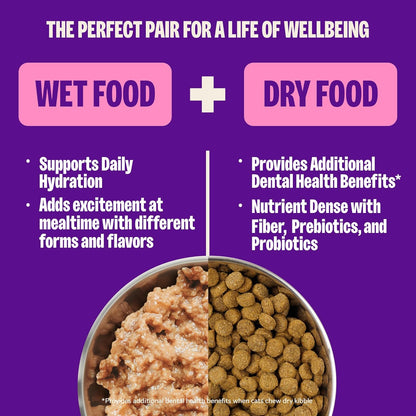 Wellness Complete Health Pate Variety Pack Kitten Canned Wet Cat Food, Natural, Protein Rich, Grain Free, Whitefish and Chicken Recipes, 3 Oz, Pack of 12 Cans6