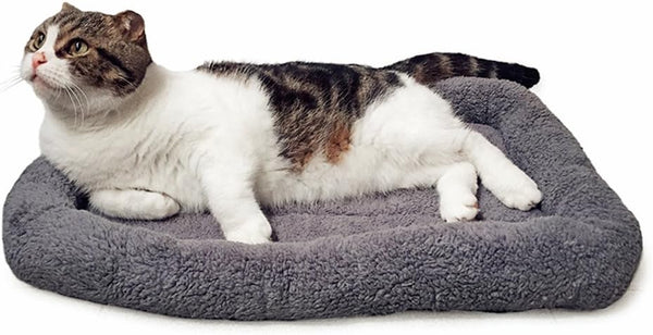 LESYPET Cat Bed for Indoor Cats, Soft Cat Cushion with Cat Pillow Around, Rectangle Kitten Pad Small Bed for Window Sill, 15'' X 10''8