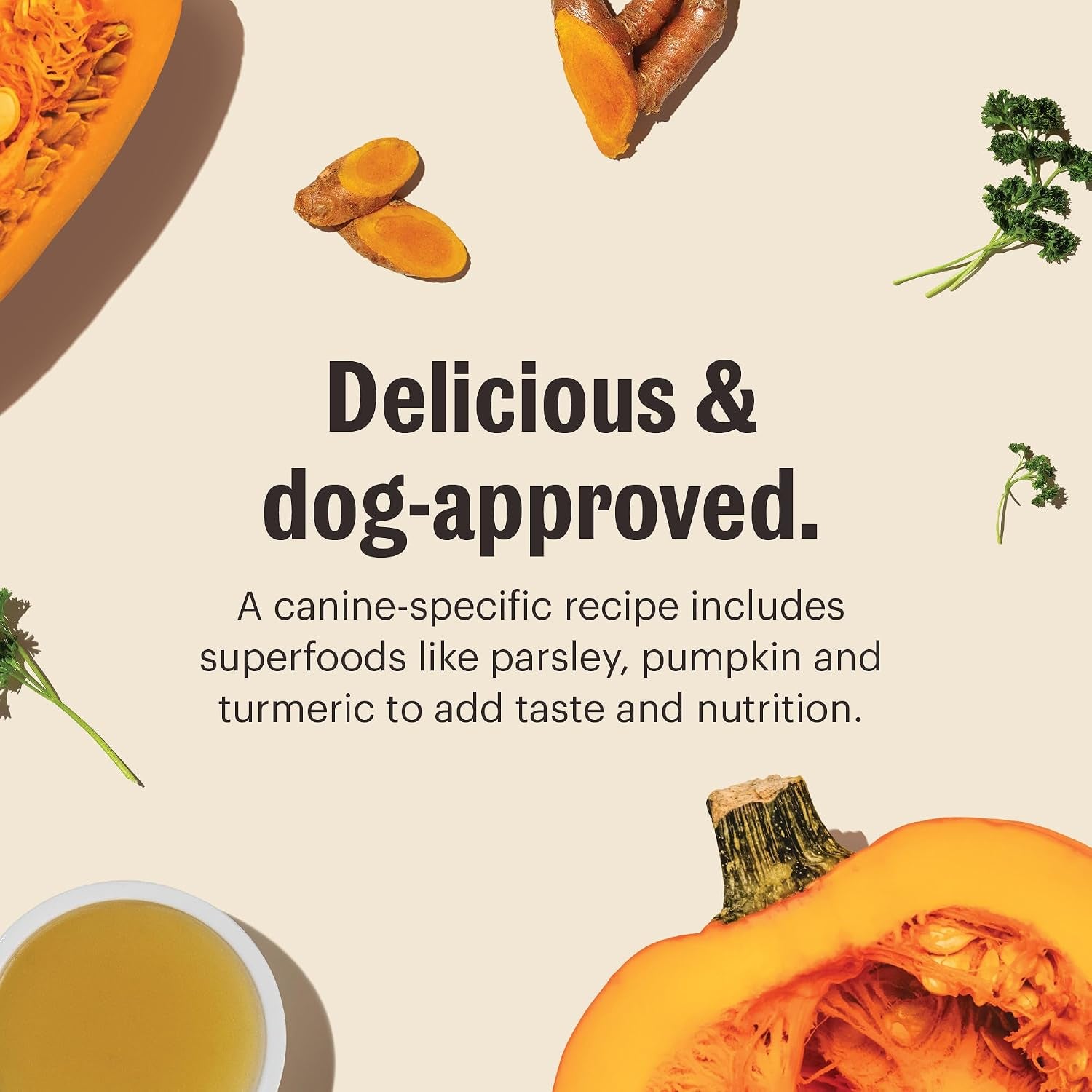 the-honest-kitchen-human-grade-daily-boosts-instant-beef-bone-broth-with-turmeric-for-dogs-3-6-ounces