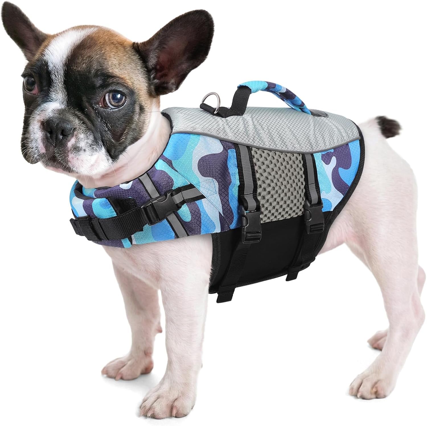 queenmore-dog-life-jacket-small-float-vests-for-swimming-boating-kayaking-mediumn-puppy-dogs-cats-neoprene-life-preserver-pet-water-lifesaver-lightweight-reflective-green-l
