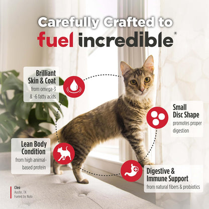 Nulo Freestyle Adult Trim Dry Cat Food - Salmon & Lentils, High Protein, Grain Free, Weight Management Kibble with Probiotics & L-Carnitine, 4Lb Bag4