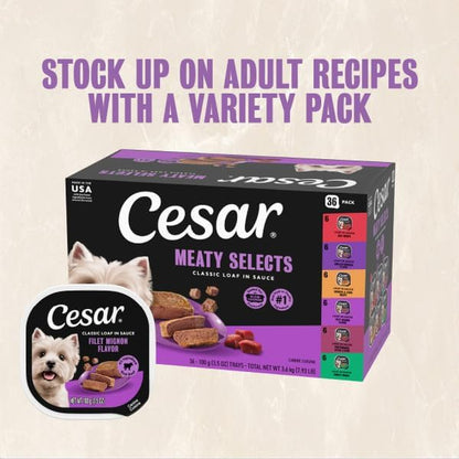Cesar Wet Dog Food Classic Loaf in Sauce Grilled Chicken, Filet Mignon, Porterhouse Steak, Beef, Chicken & Liver and Turkey Variety Pack 3.5 Oz. Easy Peel Trays (36 Count, Pack of 1) | Made in USA, Real Meat #1 Ingredient, No Fillers or Artificial Flavors, Formulated without Grains, Easy Peel Trays14