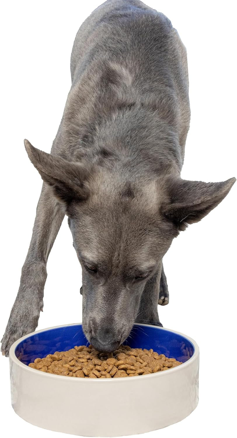 spot-ceramic-stoneware-pet-bowl-for-medium-and-large-dogs-classic-heavy-duty-non-slip-ceramic-bowl-for-food-and-water-7-5in-diameter