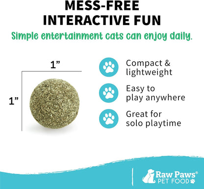Raw Paws Catnip Balls for Cats (6-Count) - Interactive Indoor Cat Toy | Natural Compressed Natural Catnip - Cat Lick Balls - Catnip Roller Balls - Play & Enrichment Toy - Fresh Dried - No Additives5