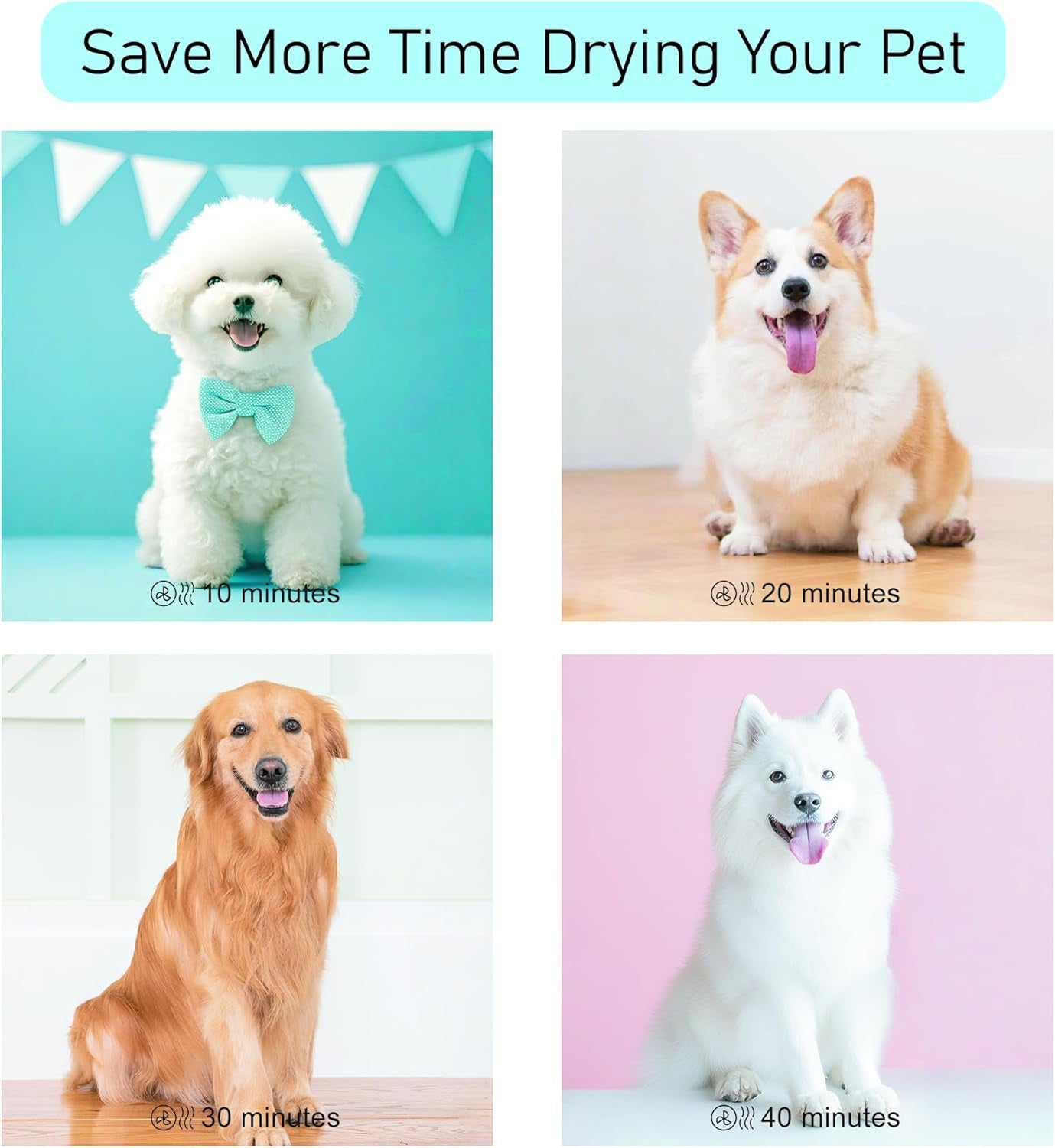 dog-dryer-for-pet-grooming-pet-hair-dryer-with-heater-blue