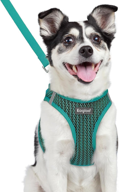 Eagloo Small Dog Harness and Leash Set, Step in Small Sized Puppy Pet Vest | Light, Soft, Breathable Air Mesh, Easy on and off with Hook & Loop, Reflective for Safe Walking, Pink, S31