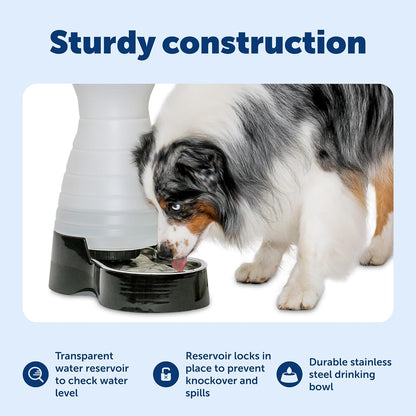 Petsafe Healthy Pet Water Station, 320 Oz, Stainless Steel Bowl, Large | Gravity-Fed Pet Water Fountain Keeps Cats or Small Dogs Hydrated, Stainless Steel Bowl Is Dishwasher Safe4
