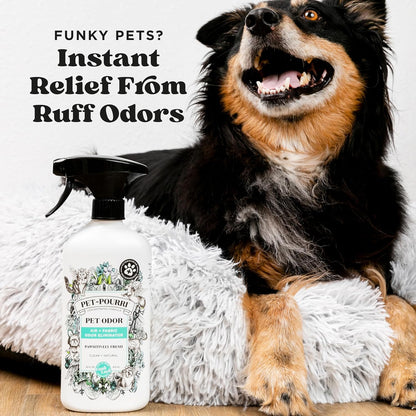 Pet-Pourri Pawsitively Fresh Pet Odor Deodorizer Spray, 16 Fl Oz, up to 800 Uses, Air + Fabric Odor Remover with Essential Oils & Plant Based Ingredients, Vet Recommended, Pineapple, Jasmine & Pear3