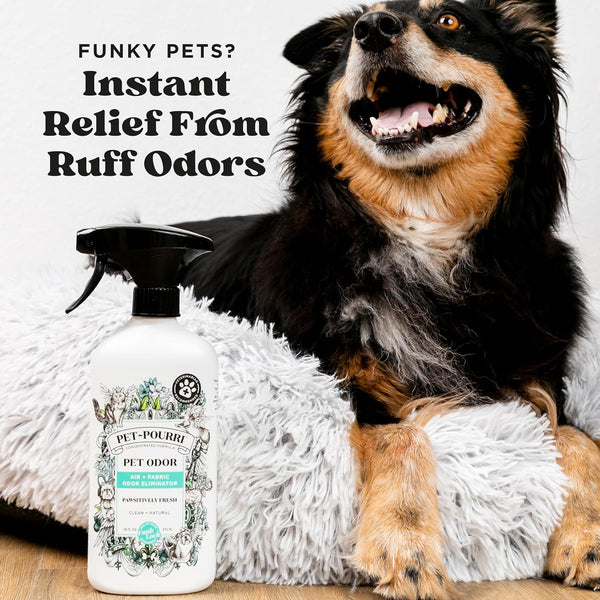 Pet-Pourri Pawsitively Fresh Pet Odor Deodorizer Spray, 16 Fl Oz, up to 800 Uses, Air + Fabric Odor Remover with Essential Oils & Plant Based Ingredients, Vet Recommended, Pineapple, Jasmine & Pear3