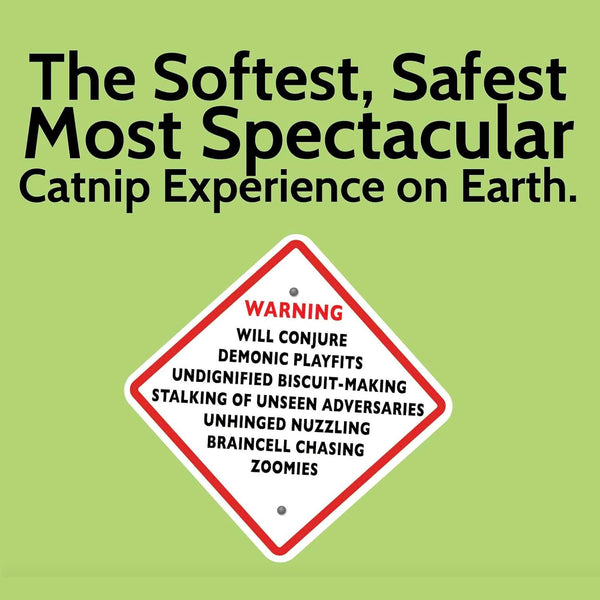 Catnip + Silvervine Safety-Cut Fine Cat Nip + Silver Vine 1.5 Cup (1.8 Oz) | VEGAN Ultra Potent Bulk Rescue Pack - North American - Go Ahead, Create a Monster! Human Food Grade FIEND3
