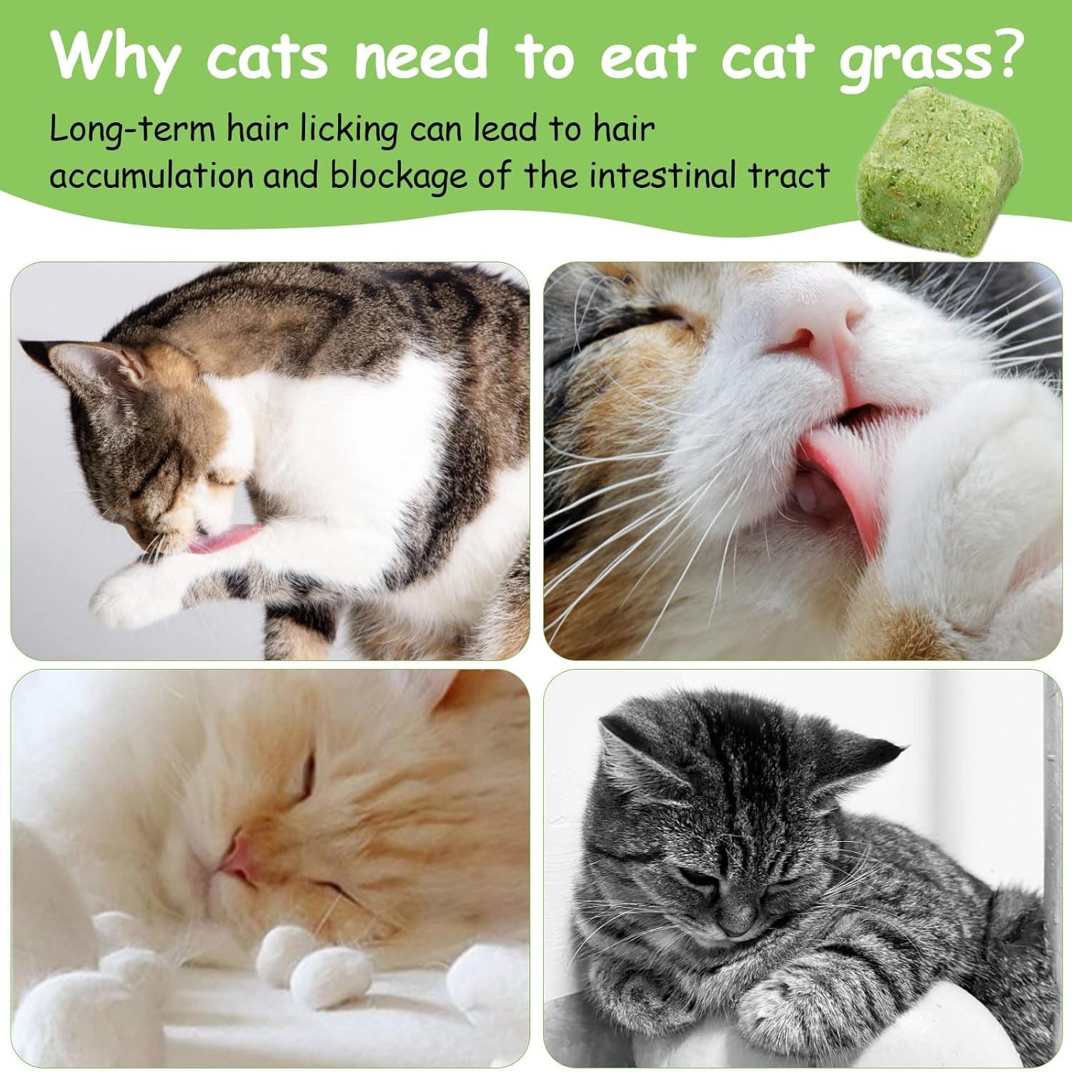 60g-cat-grass-treats-for-indoor-cats-freezed-dried-cat-grass-teething-stick-snacks-for-cats-edible-feline-chew-toys-for-hairball-control-and-oral-health