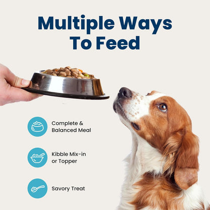 Blue Buffalo Blue’S Stew Variety Pack Hearty Beef & Country Chicken Stew Natural Grain Free Wet Dog Food with Real Meat in Thick Savory Gravy, Natural Ingredients, 12.5-Oz Cans (6 Count)8